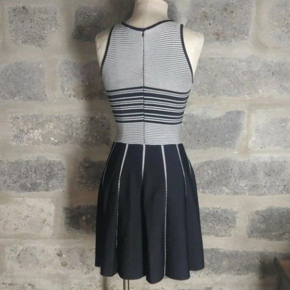 NWOT! Parker Sz XS / 2 Nia Knit Striped Nylon Skater Mini Dress A line Hem - Picture 3 of 9